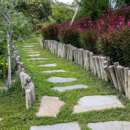 Фермерский дом Agavi Marano sul Panaro