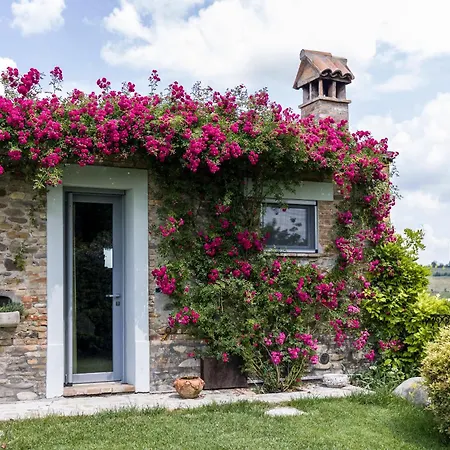 Agavi * Marano sul Panaro