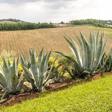 Agavi Farm stay