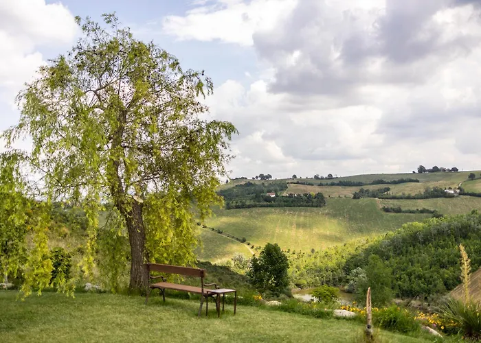 Agavi Marano sul Panaro