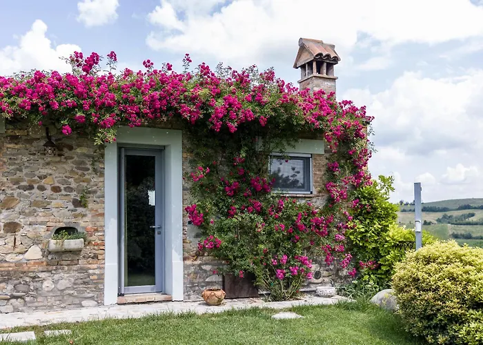 Agavi * Marano sul Panaro